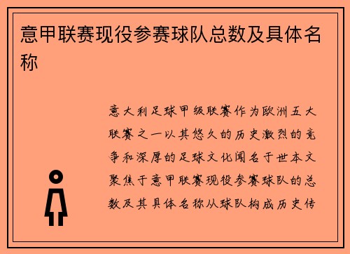 意甲联赛现役参赛球队总数及具体名称